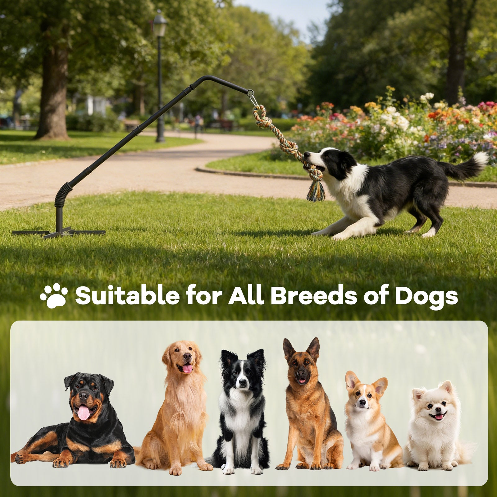 Outdoor Tug of War Dog Toy with Strengthen Spring Pole, Sturdy & Durable, Adjustable Height for Large, Medium & Small Dogs;3 Kinds Dog Tug of War Toys for Self-Play & Interactive in Park, Yard & Lawn