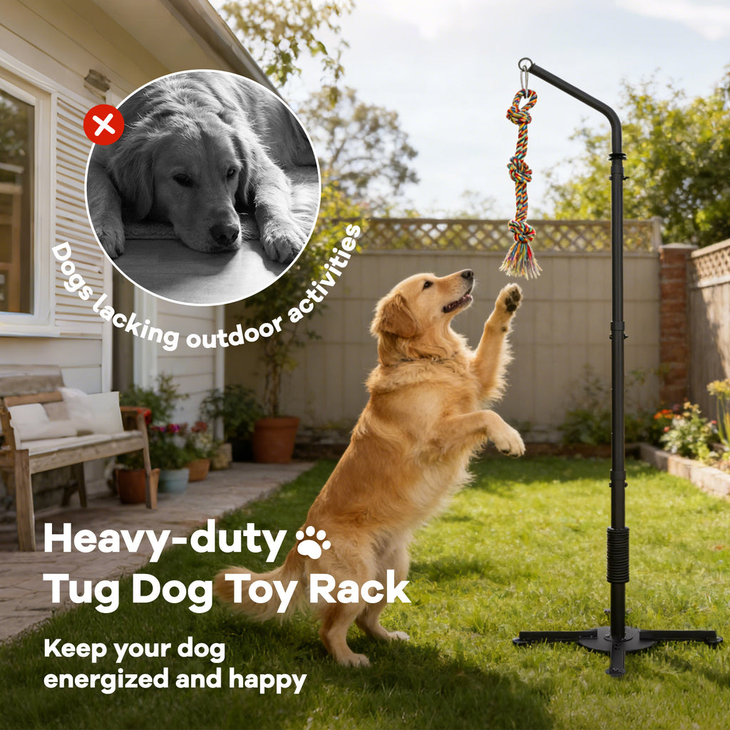 Outdoor Tug of War Dog Toy with Strengthen Spring Pole, Sturdy & Durable, Adjustable Height for Large, Medium & Small Dogs;3 Kinds Dog Tug of War Toys for Self-Play & Interactive in Park, Yard & Lawn