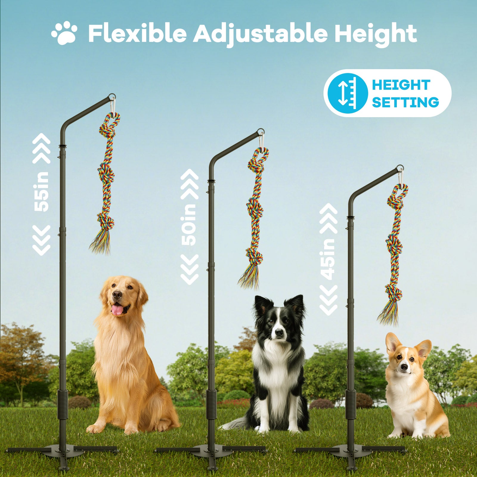 Outdoor Tug of War Dog Toy with Strengthen Spring Pole, Sturdy & Durable, Adjustable Height for Large, Medium & Small Dogs;3 Kinds Dog Tug of War Toys for Self-Play & Interactive in Park, Yard & Lawn